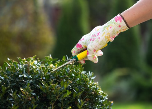 Company team at work trimming hedges in West Ham