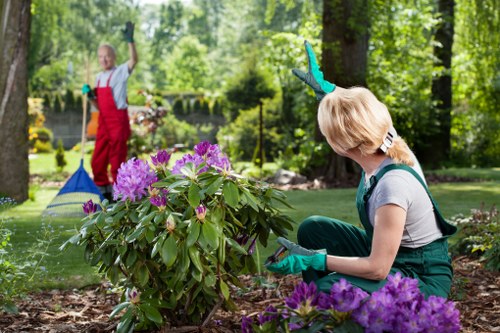 Professionals trimming hedges in a West Ham garden