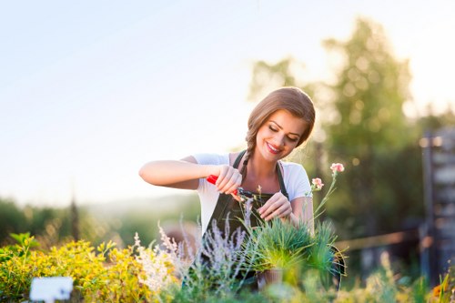 Professional hedge trimming services by Hedge Trimming West Ham