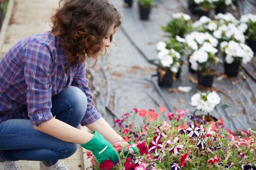 Professional gardener designing a landscape in West Ham