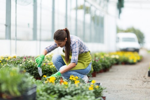 Advanced landscaping technology in West Ham