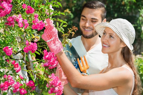 Expert team maintaining hedges in West Ham gardens