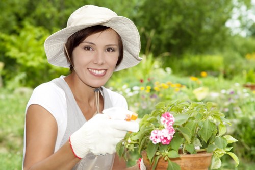 Professional trimming services in West Ham