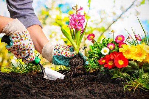 Professional landscapers working in West Ham