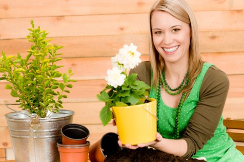 Professional garden care services