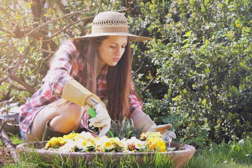 Healthy green lawn maintained by professionals