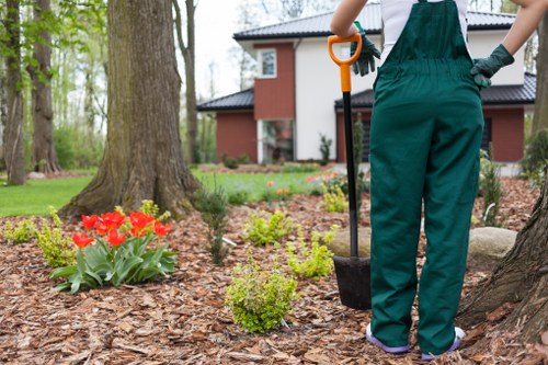 Customized garden maintenance plan