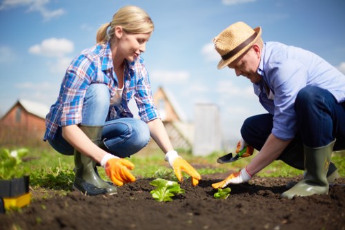 A man and a woman are engaged in gardening activities in a backyard or outdoor garden space, planting young green leafy plants into freshly tilled dark soil. The woman, with blonde hair tied back, is wearing a blue plaid shirt, blue jeans, and yellow gardening gloves, and is focused on placing a plant into the ground. The man, wearing a straw hat, light blue shirt, dark trousers, and green rubber boots, is also carefully planting, using a small garden tool in his hand. Behind them, the garden features a well-maintained grassy lawn with lush green grass, bordered by a paved pathway. In the background, there are residential buildings with brick walls and pitched roofs, under a clear blue sky with some scattered clouds, indicating a pleasant, sunny day. The scene reflects typical outdoor gardening work, suitable for a professional gardening or landscaping service on the West Ham area, emphasizing outdoor lawn and plant care as part of comprehensive garden maintenance by Hedge Trimming West Ham.