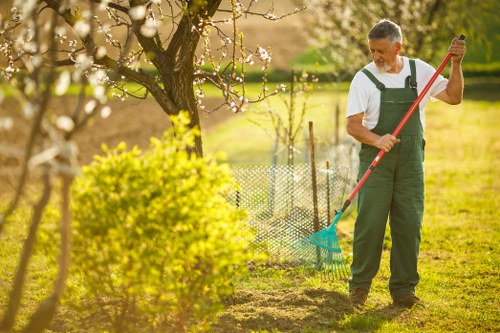 Healthy lawn being mowed